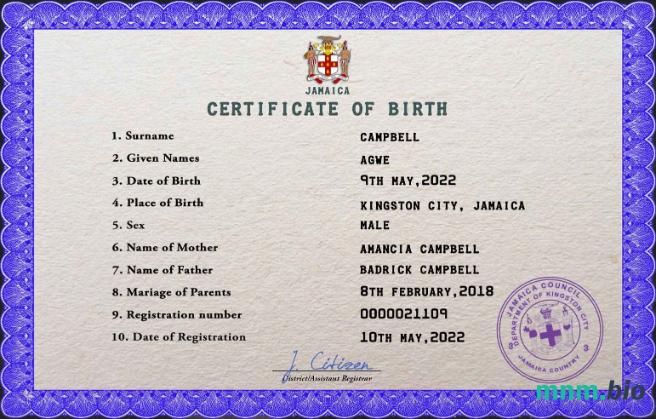 Jamaica rekord życiowy narodziny certyfikat PSD szablon